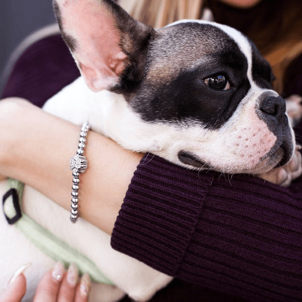 CRYSTAL PAW PRINT - allvanti.shop