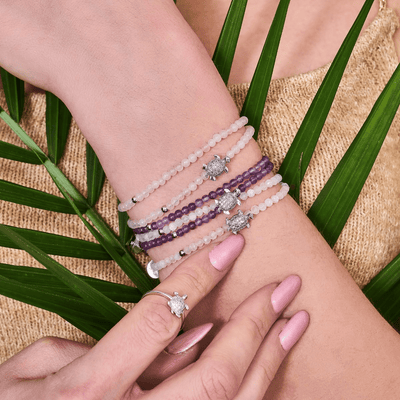 SEA TURTLES - allvanti.shop