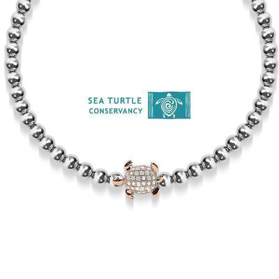 NOGU X SEA TURTLE CONSERVANCY - allvanti.shop