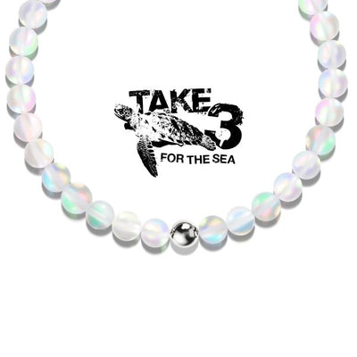 NOGU X TAKE 3 - allvanti.shop